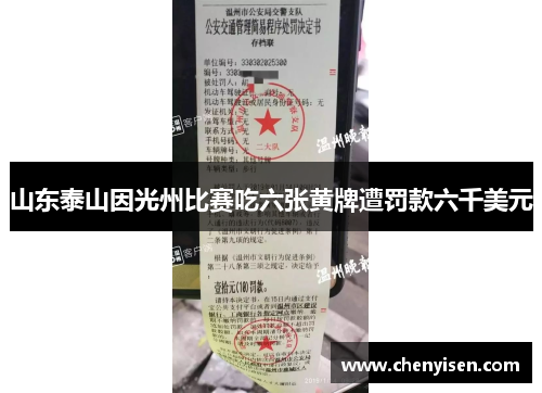 山东泰山因光州比赛吃六张黄牌遭罚款六千美元